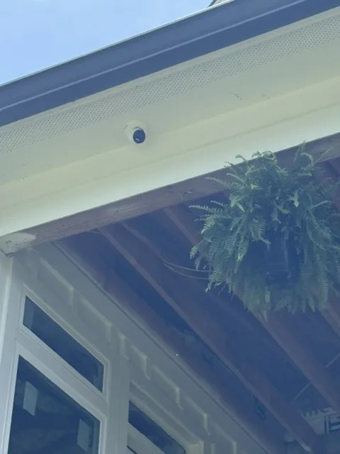 Small camera fitted into the soffit of a porch roof next to a hanging fern.